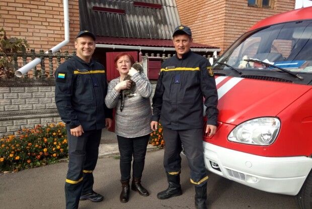 Котик з Рівного заліз на дах і не захотів злізати