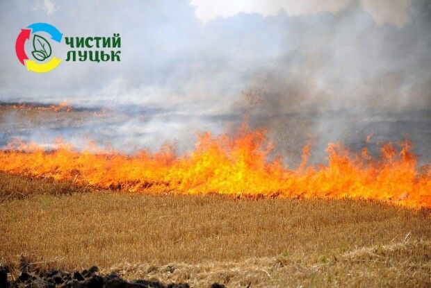 Не паліть гілля та листя: луцькі комунальники закликають перетворити сухі органічні відходи на природне добриво