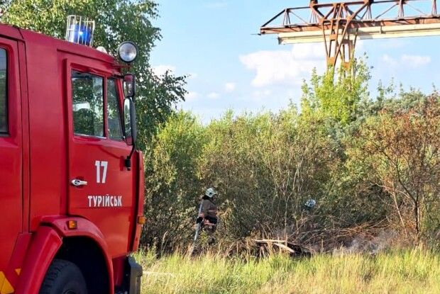 На Волині упіймали палія сухостою