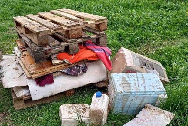 «А чому не прибрали пляшки та шприци?»: муніципали зруйнували будиночки для безпритульних котів