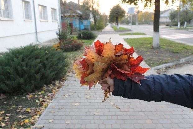 У Нацпарку на Волині стурбовані забрудненням довкілля через спалювання листя