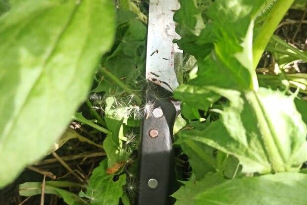 Затримали рівнянина, який зарізав брата на Волині