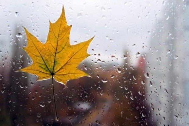 Дощ зі снігом: якою буде погода на Волині