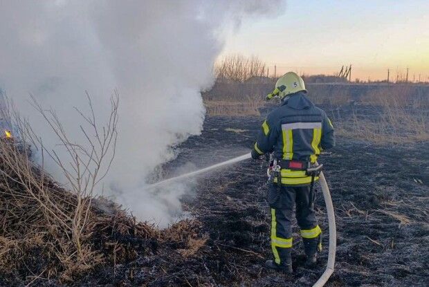 У селах на Волині горіли понад два гектари сухостою