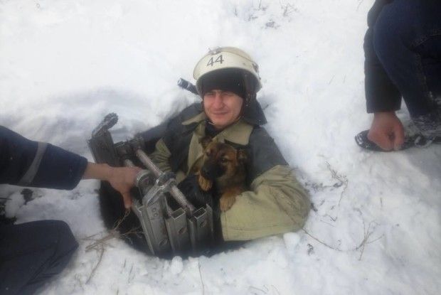 Українські рятувальники врятували двох собак, які впали у річку та колодязь 
