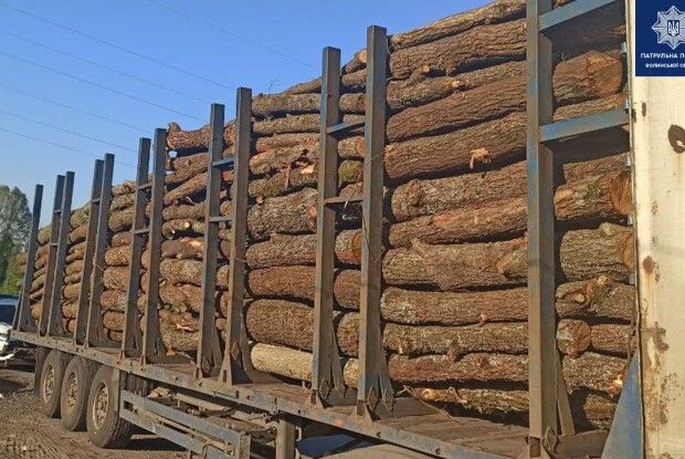 У Ковелі зупинили вантажівку з повним прицепом деревини (Фото)