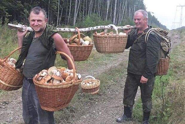 І гриба знайти  треба мати щастя