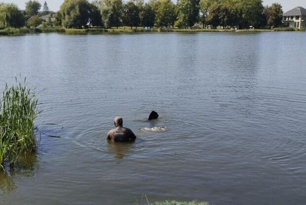 На Теремнівському ставку працювали водолази