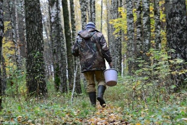 Як на Волині шукали заблукалого грибника