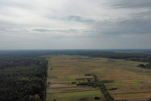 На Рівненщині зловили палія, він заплатить штраф