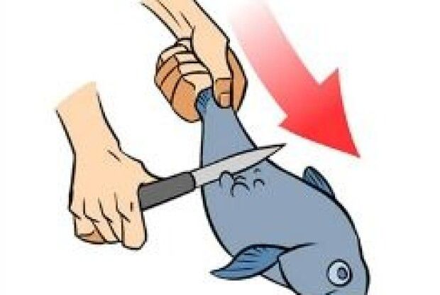 Як швидко почистити свіжу рибу