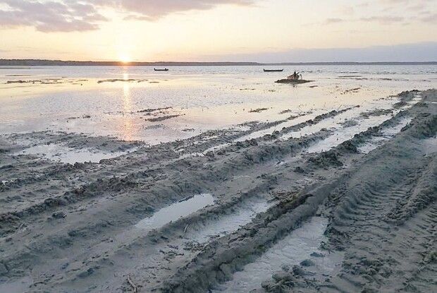 Скористався обмілінням Світязя