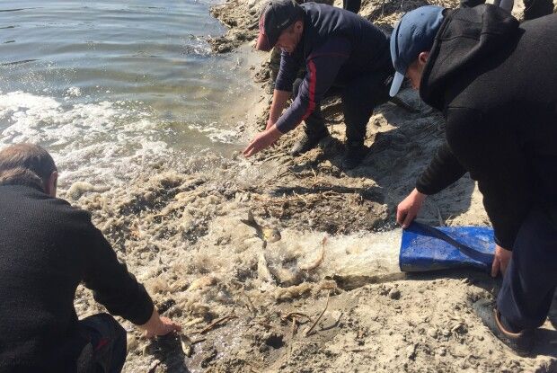 У волинських Ківерцях у дні війни займалися наймирнішою справою (Фоторепортаж) 