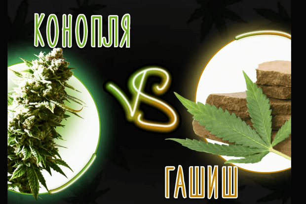 У місті на Волині поліцейські упіймали юнака з наркотичним пакунком