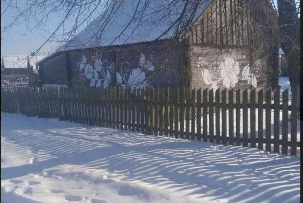 Обійстя на Волині квітне петриківським розписом (Фото)