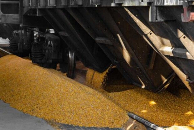 Канада готова надати свої кораблі, щоб Україна відновила експорт зерна