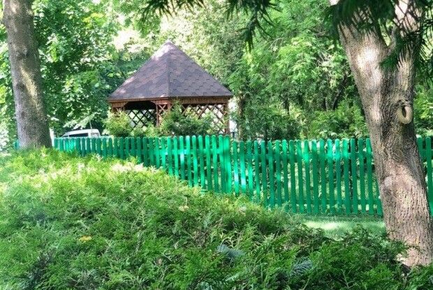 Як лісівники Горохівщини бережуть унікальний «Сидоруків парк»