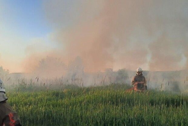 Волинські рятувальники бідкаються через поширення «трав’яних» пожеж