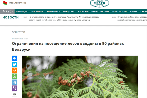 Білорусам заборонили збирати ягоди і гриби в лісах, що межують з Волинню та Рівненщиною