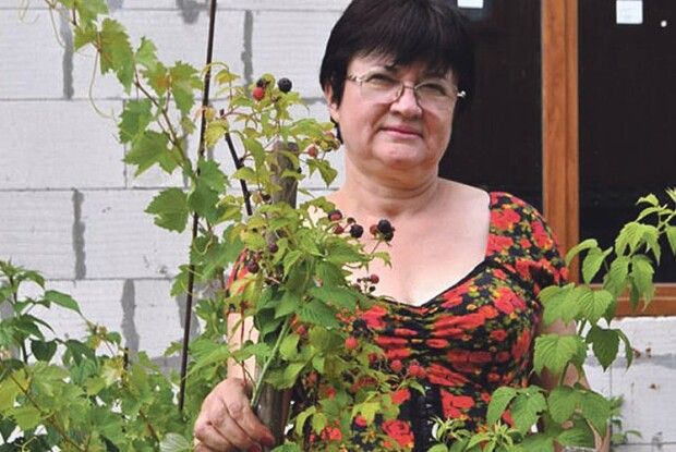 У саду волинянки абрикоси достигають на початку червня, а черешні – аж у серпні