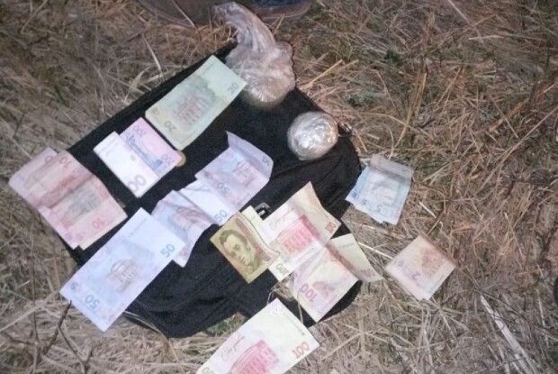 Волинянина судитимуть за наркозлочини (Фото)
