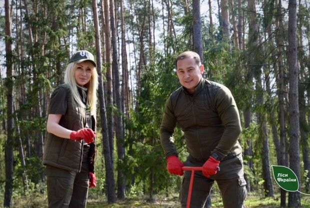 На Ківерцівщині заліснили майже 200 га 