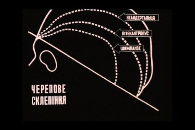 З Японії повернули в Україну перший український повнометражний науковий фільм 