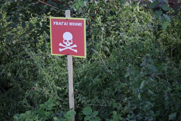 «Увага, мінна небезпека!»: де на Волині заборонено ходити в ліс