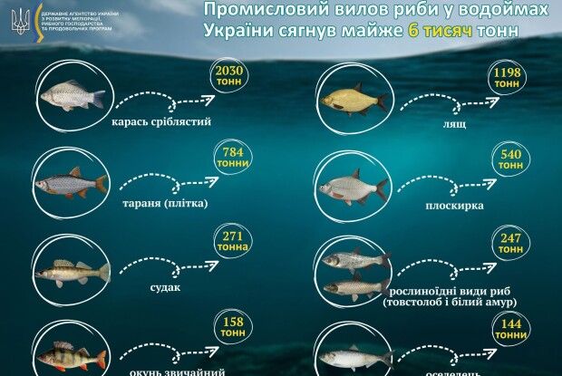 Волиняни, а ви знаєте, якої риби найбільше виловлюють в Україні?