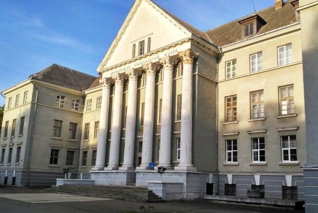 Писанка XII століття, знайдена ветераном, стала центром унікальної виставки у Волинському музеї