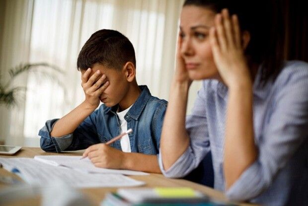 7-8 уроків в день – неприпустимо, – мовний омбудсмен про освітню програму