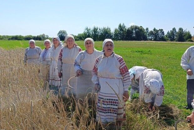 Як на Волині зберігають традиції під час збирання врожаю