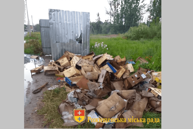 У Рожищі насвинячили біля смітників