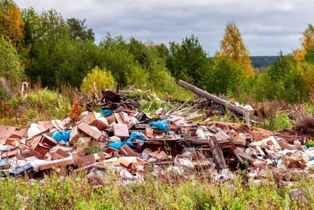 На території однієї громади виявили 10 стихійних сміттєзвалищ 
