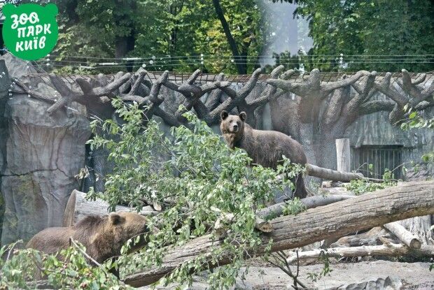 Потап і Настя наминали букети й голяка плавали у басейні (Фото)