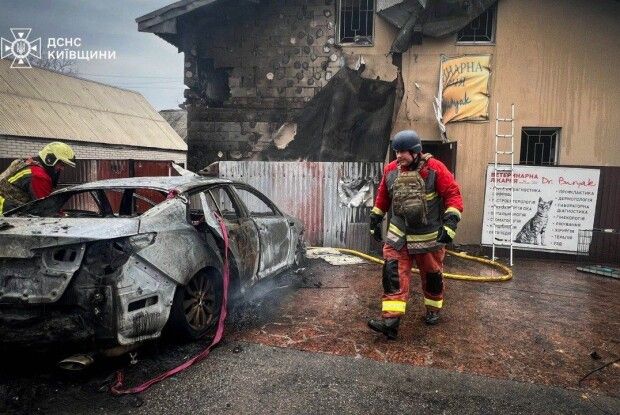 На Київщині загинуло близько 20 тварин внаслідок атаки дронів по ветклініці