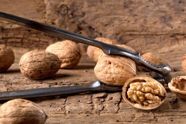 Садіть горіхи – будете мати прибуток