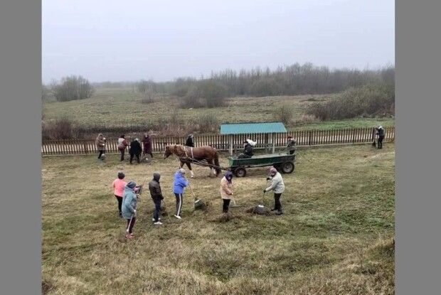 У громаді на Волині провели толоку (Фото)
