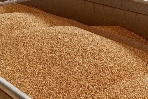 Волинь експортувала агропродукції на половину своїх можливостей