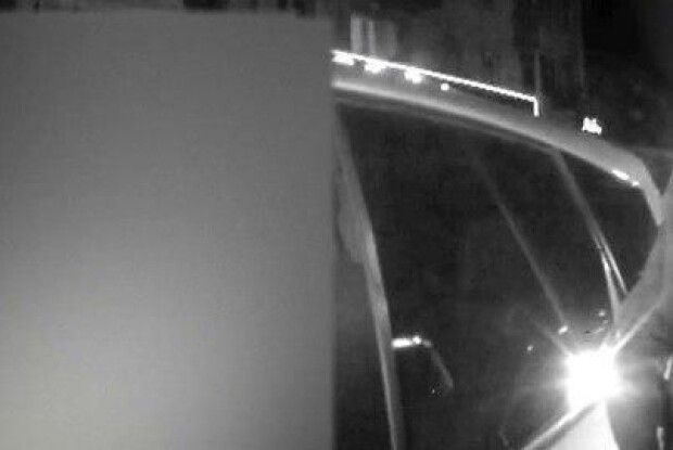 Луцькі патрульні віддали водієві бичка, якого той викинув з авта