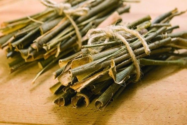 Кора білої верби захищає від інфаркту