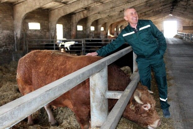 Стратегічна галузь: на Волині підтримують тих, хто прагне розвивати тваринництво