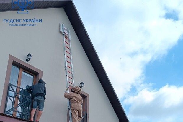Чому волинським рятувальникам довелося вдягати спецодяг і лізти на висоту (Фото)
