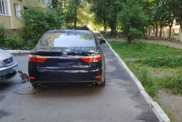 У Рівному 34-річний водій на смерть збив жінку