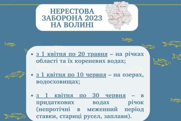 Які штрафи чекають на волинян під час нерестової заборони