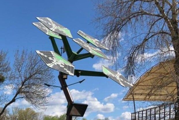 На цьому дереві «росте»  Wi-Fi