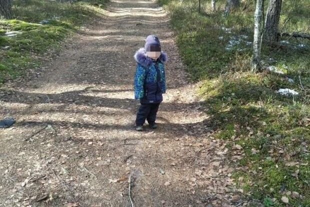 Дворічний хлопчик дременув з дому й зайшов у ліс на 2 км (Фото, відео)