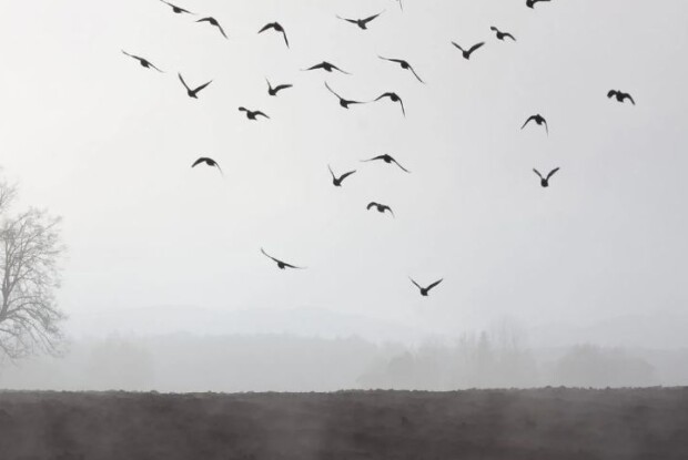 В Україні оголосили I рівень небезпеки: негода накриє півкраїни  