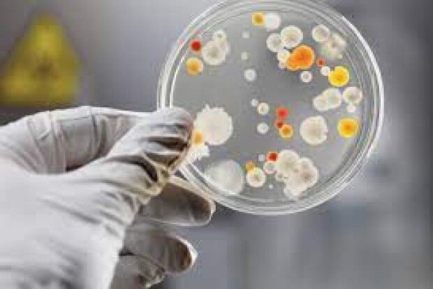 У Рівному зафіксували смерть від небезпечного інфекційного захворювання