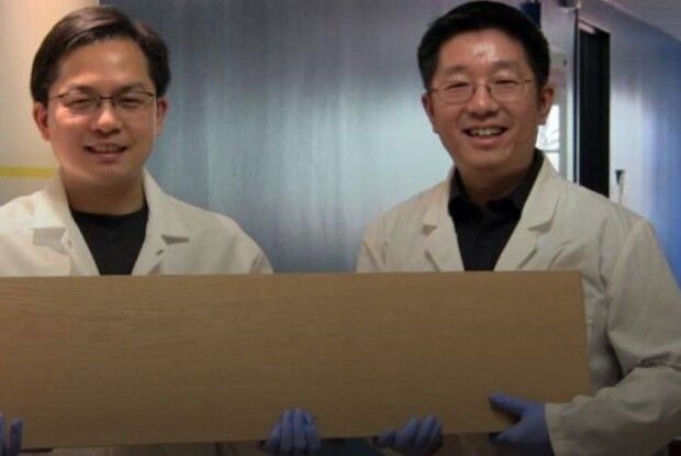 Вчені створили деревину, міцнішу за сталь і титан